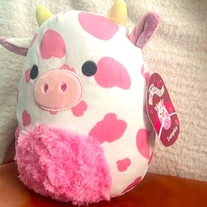 Evangelica is a rare